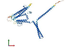 AlphaFold protein structure predicition of Mouse Recombinant Kcnn4 Protein, UniprotID O89109