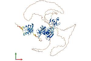 AlphaFold protein structure predicition of Human Recombinant ZSWIM2 Protein, UniprotID Q8NEG5