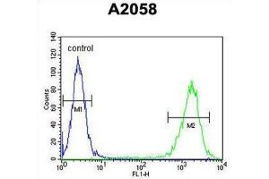 Flow Cytometry (FACS) image for anti-Parathymosin (PTMS) antibody (ABIN3004110) (Parathymosin anticorps)