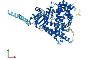 AlphaFold protein structure predicition of Mouse Recombinant Cyp26a1 Protein, UniprotID O55127