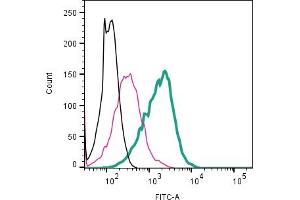 Cell surface detection of TRPV1 by direct flow cytometry in live intact mouse  microglia cell line: + Rabbit IgG isotype control-ATTO 488 (ABIN7582041).