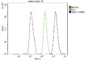 Flow Cytometry analysis of SiHa cells using anti-AEBP2 antibody (ABIN4886435). (AEBP2 anticorps  (AA 424-517))