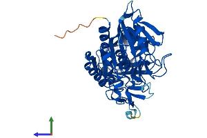 AlphaFold protein structure predicition of Mouse Recombinant Acot6 Protein, UniprotID Q32Q92
