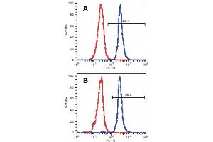 Flow Cytometry analysis of LAT expression in peripheral blood lymphocytes using anti-human LAT (LAT-01) (surface markers were stained prior to intracellular staining of human LAT). (LAT anticorps  (Cytoplasmic Domain))