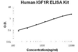 Human IGF1R PicoKine ELISA Kit standard curve (IGF1R Kit ELISA)