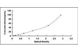 Protease, serine, 8 (PRSS8) ELISA Kit