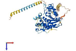 AlphaFold protein structure predicition of Mouse Recombinant Chst3 Protein, UniprotID O88199