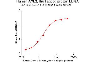 ELISA plate pre-coated by 2 μg/mL (100 μL/well) Human , His Tagged protein(ABIN6964090, ABIN7042435 and ABIN7042436)can bind S-RBD, hFc tagged protein ABIN6961170, ABIN7042369 and ABIN7042370 in a linear range of 0.