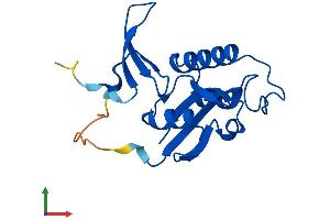 AlphaFold protein structure predicition of Mouse Recombinant Pin1 Protein, UniprotID Q9QUR7