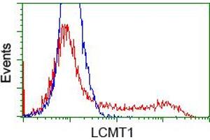 HEK293T cells transfected with either RC200018 overexpress plasmid (Red) or empty vector control plasmid (Blue) were immunostained by anti-LCMT1 antibody (ABIN2454741), and then analyzed by flow cytometry.