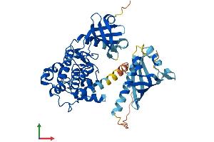 AlphaFold protein structure predicition of Mouse Recombinant Camk2a Protein, UniprotID P11798