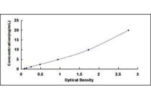 Typical standard curve (TGOLN2 Kit ELISA)