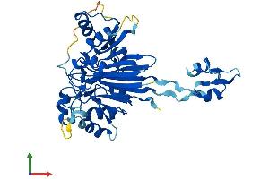 AlphaFold protein structure predicition of Mouse Recombinant Elac1 Protein, UniprotID Q8VEB6