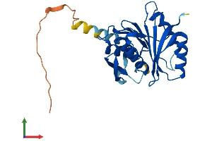 AlphaFold protein structure predicition of Mouse Recombinant Mettl21c Protein, UniprotID Q8BLU2