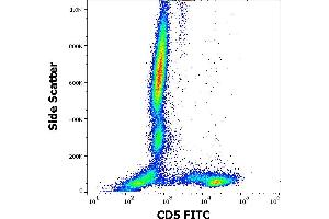 Flow cytometry surface staining pattern of human peripheral whole blood stained using anti-human CD5 (CRIS1) FITC antibody (20 μL reagent / 100 μL of peripheral whole blood). (CD5 anticorps  (FITC))