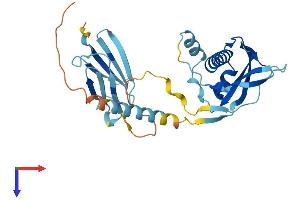AlphaFold protein structure predicition of Human Recombinant PIH1D1 Protein, UniprotID Q9NWS0