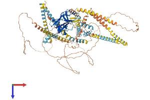 AlphaFold protein structure predicition of Mouse Recombinant Sun1 Protein, UniprotID Q9D666