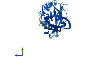 AlphaFold protein structure predicition of Human Recombinant CHAC2 Protein, UniprotID Q8WUX2