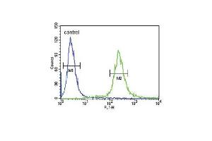 ADCY Antibody (C-term) (ABIN651855 and ABIN2840424) flow cytometric analysis of 293 cells (right histogram) compared to a negative control cell (left histogram).