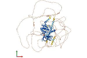 AlphaFold protein structure predicition of Mouse Recombinant Bmp2k Protein, UniprotID Q91Z96