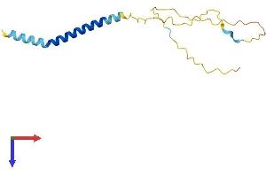 AlphaFold protein structure predicition of Human Recombinant SCIMP Protein, UniprotID Q6UWF3