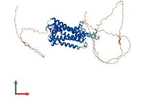 AlphaFold protein structure predicition of Mouse Recombinant Opn4 Protein, UniprotID Q9QXZ9