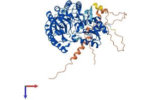 AlphaFold protein structure predicition of Mouse Recombinant Cdkal1 Protein, UniprotID Q91WE6