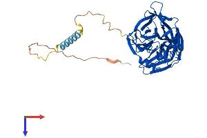 AlphaFold protein structure predicition of Mouse Recombinant Cant1 Protein, UniprotID Q8VCF1