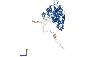 AlphaFold protein structure predicition of Human Recombinant MGAT2 Protein, UniprotID Q10469