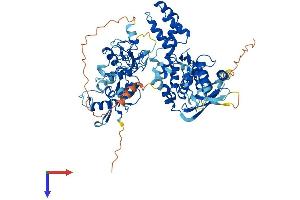 AlphaFold protein structure predicition of Mouse Recombinant G2e3 Protein, UniprotID Q5RJY2