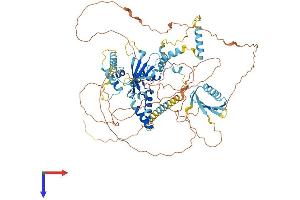 AlphaFold protein structure predicition of Human Recombinant SUPT20H Protein, UniprotID Q8NEM7