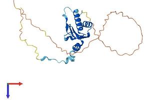 AlphaFold protein structure predicition of Human Recombinant MALSU1 Protein, UniprotID Q96EH3
