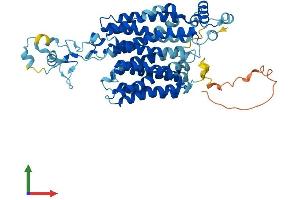 AlphaFold protein structure predicition of Human Recombinant SLC22A13 Protein, UniprotID Q9Y226