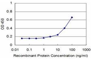 anti-Fragile Histidine Triad (FHIT) (AA 31-130) antibody