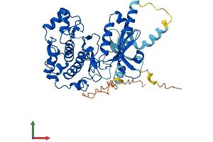 AlphaFold protein structure predicition of Mouse Recombinant Stk32b Protein, UniprotID Q9JJX8