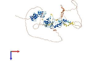 AlphaFold protein structure predicition of Human Recombinant ABLIM2 Protein, UniprotID Q6H8Q1