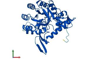 AlphaFold protein structure predicition of Mouse Recombinant Gmpr Protein, UniprotID Q9DCZ1