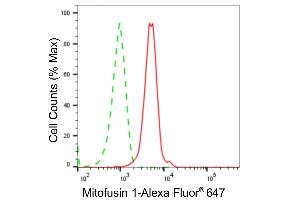 Flow cytometric analysis of Mitofusin 1 expression in C2C12 cells using Mitofusin 1 antibody (ABIN7799439), 1:2,000). (Recombinant MFN1 anticorps)