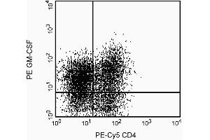 anti-Colony Stimulating Factor 2 (Granulocyte-Macrophage) (CSF2) antibody