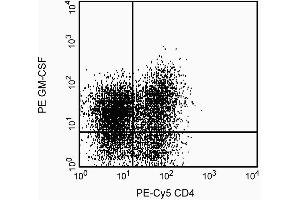 Expression of GM-CSF by stimulated human peripheral blood mononuclear cells (PBMC).