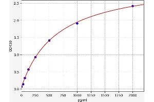 Filamin A, alpha (FLNA) ELISA Kit