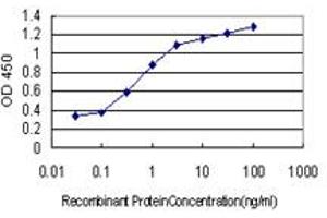 Detection limit for recombinant GST tagged COMMD1 is approximately 0. (COMMD1 anticorps  (AA 1-190))