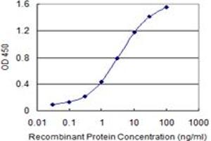 Detection limit for recombinant GST tagged ABCC4 is 0.