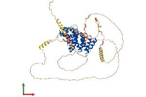 AlphaFold protein structure predicition of Human Recombinant CTIF Protein, UniprotID O43310