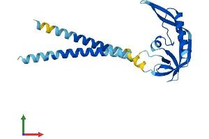 AlphaFold protein structure predicition of Human Recombinant KCNMB4 Protein, UniprotID Q86W47