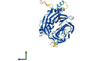 AlphaFold protein structure predicition of Human Recombinant DCAF12 Protein, UniprotID Q5T6F0