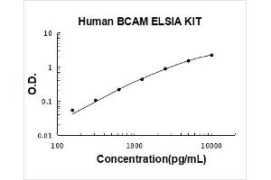 Basal Cell Adhesion Molecule (Lutheran Blood Group) (BCAM) ELISA Kit