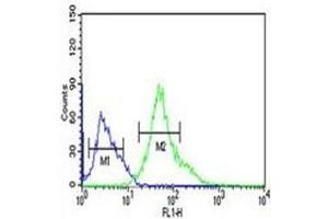 XBP1 antibody flow cytometric analysis of Ramos cells (right histogram) compared to a negative control (left histogram). (XBP1 anticorps  (AA 62-91))