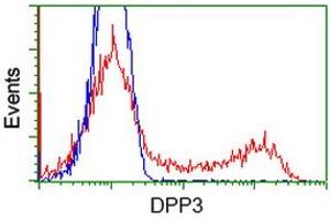 HEK293T cells transfected with either RC219658 overexpress plasmid (Red) or empty vector control plasmid (Blue) were immunostained by anti-DPP3 antibody (ABIN2454856), and then analyzed by flow cytometry. (DPP3 anticorps)