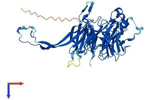 AlphaFold protein structure predicition of Mouse Recombinant Ppp2r2b Protein, UniprotID Q6ZWR4